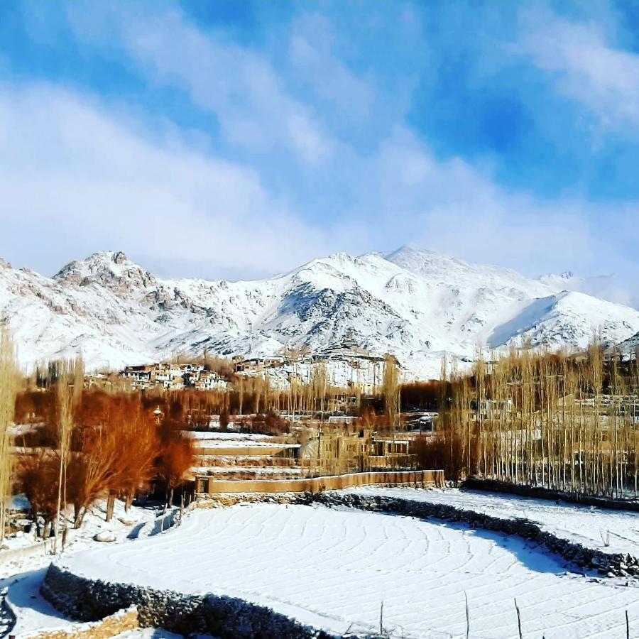 Ladakh Country Inn Leh Extérieur photo