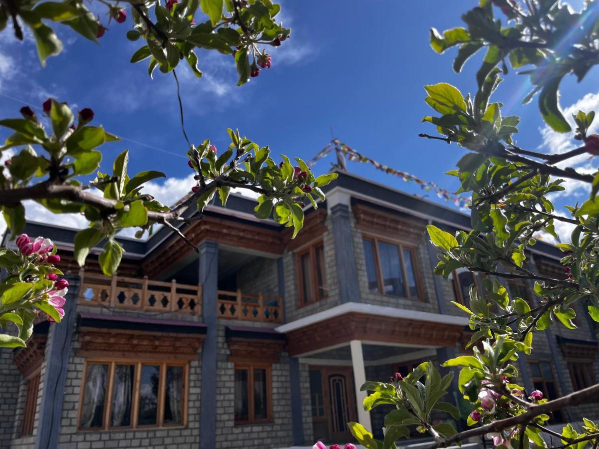 Ladakh Country Inn Leh Extérieur photo